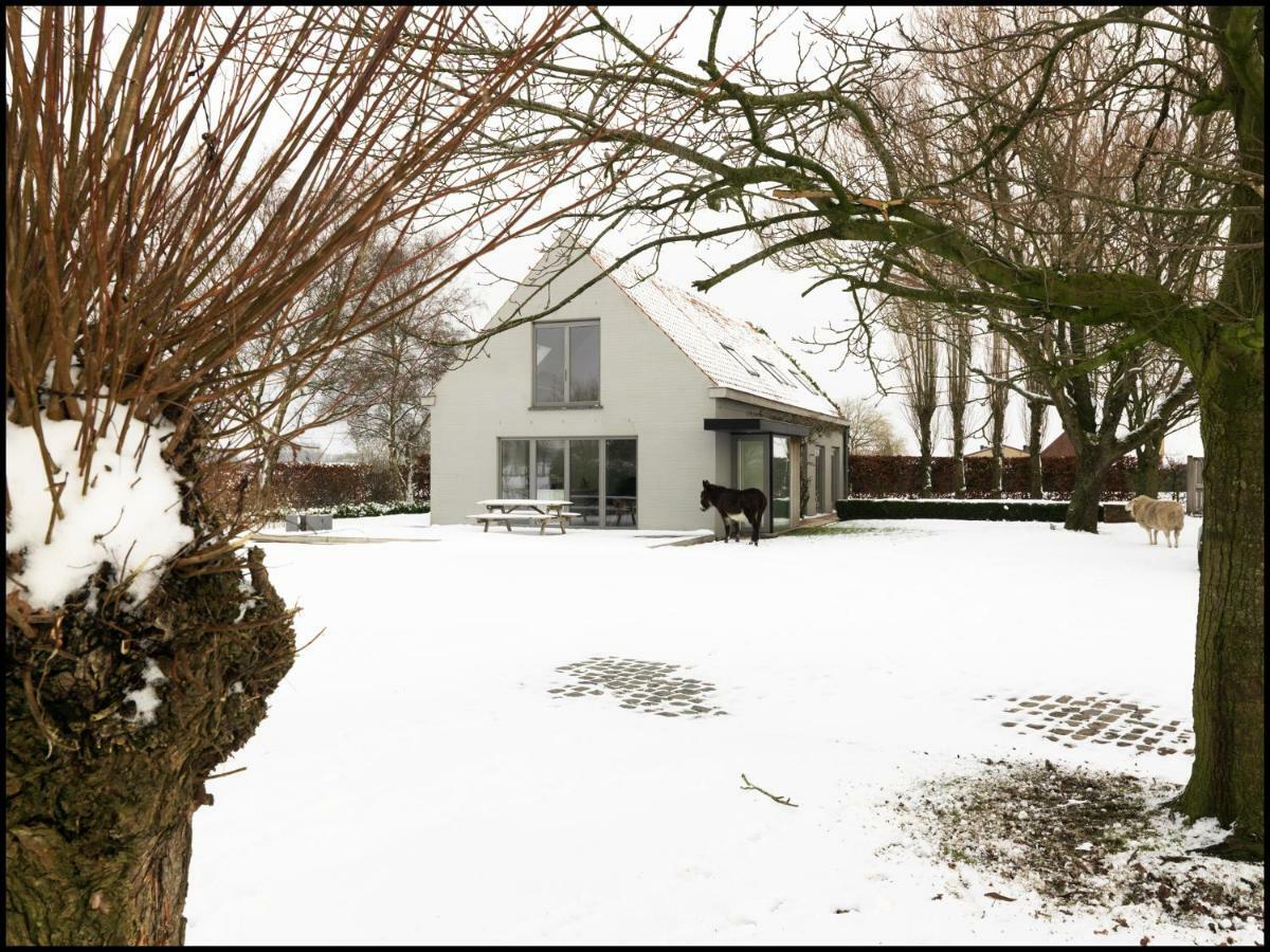 Bed and Breakfast Rooseboom22 Aartrijke Zewnętrze zdjęcie