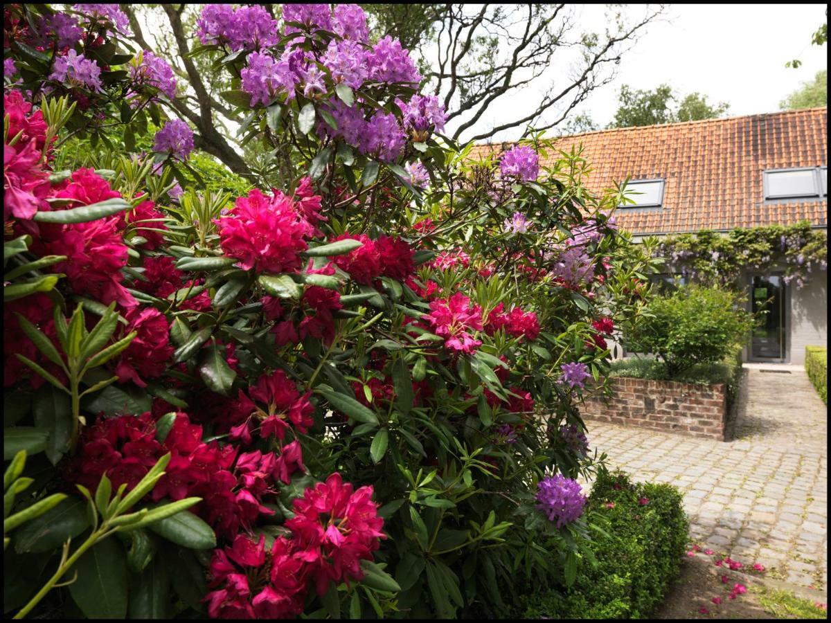 Bed and Breakfast Rooseboom22 Aartrijke Zewnętrze zdjęcie