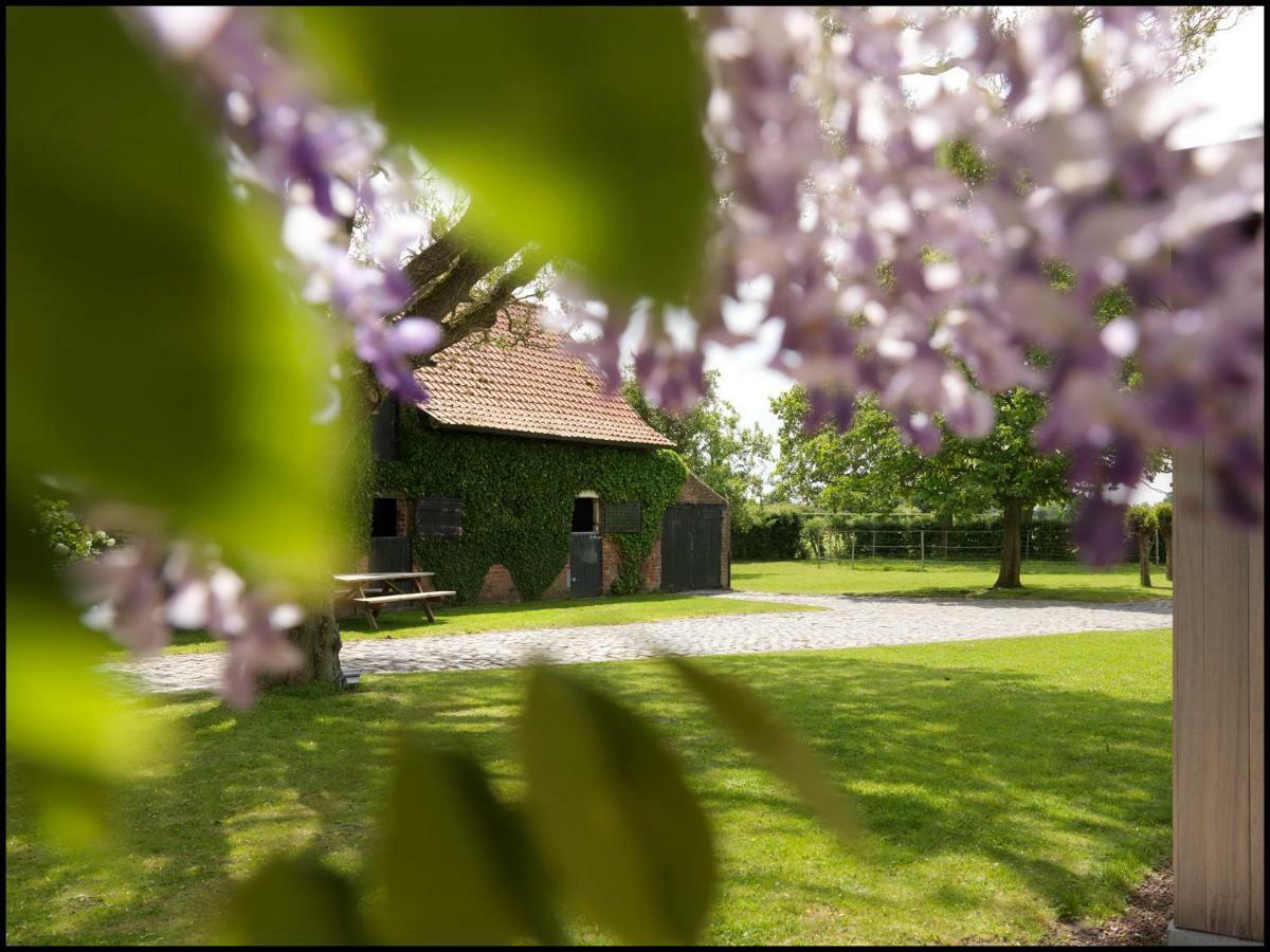 Bed and Breakfast Rooseboom22 Aartrijke Zewnętrze zdjęcie